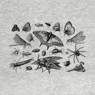 Insects T-Shirt